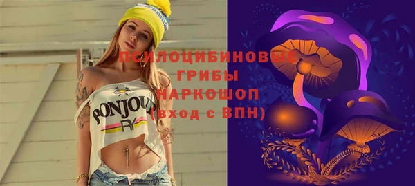 гашик Балабаново